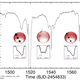 Illustration for article titled That So-Called Alien Megastructure Could Just Be a Distorted Star